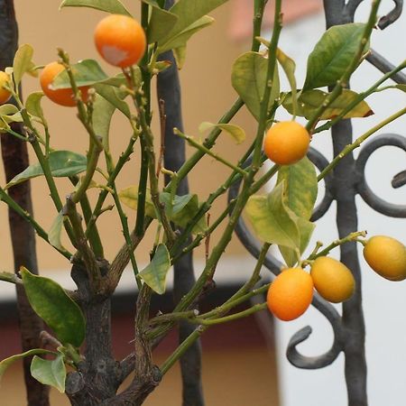 Casa Vacanze Aloha Giardini Naxos Eksteriør bilde