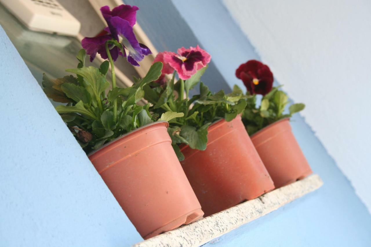 Casa Vacanze Aloha Giardini Naxos Eksteriør bilde